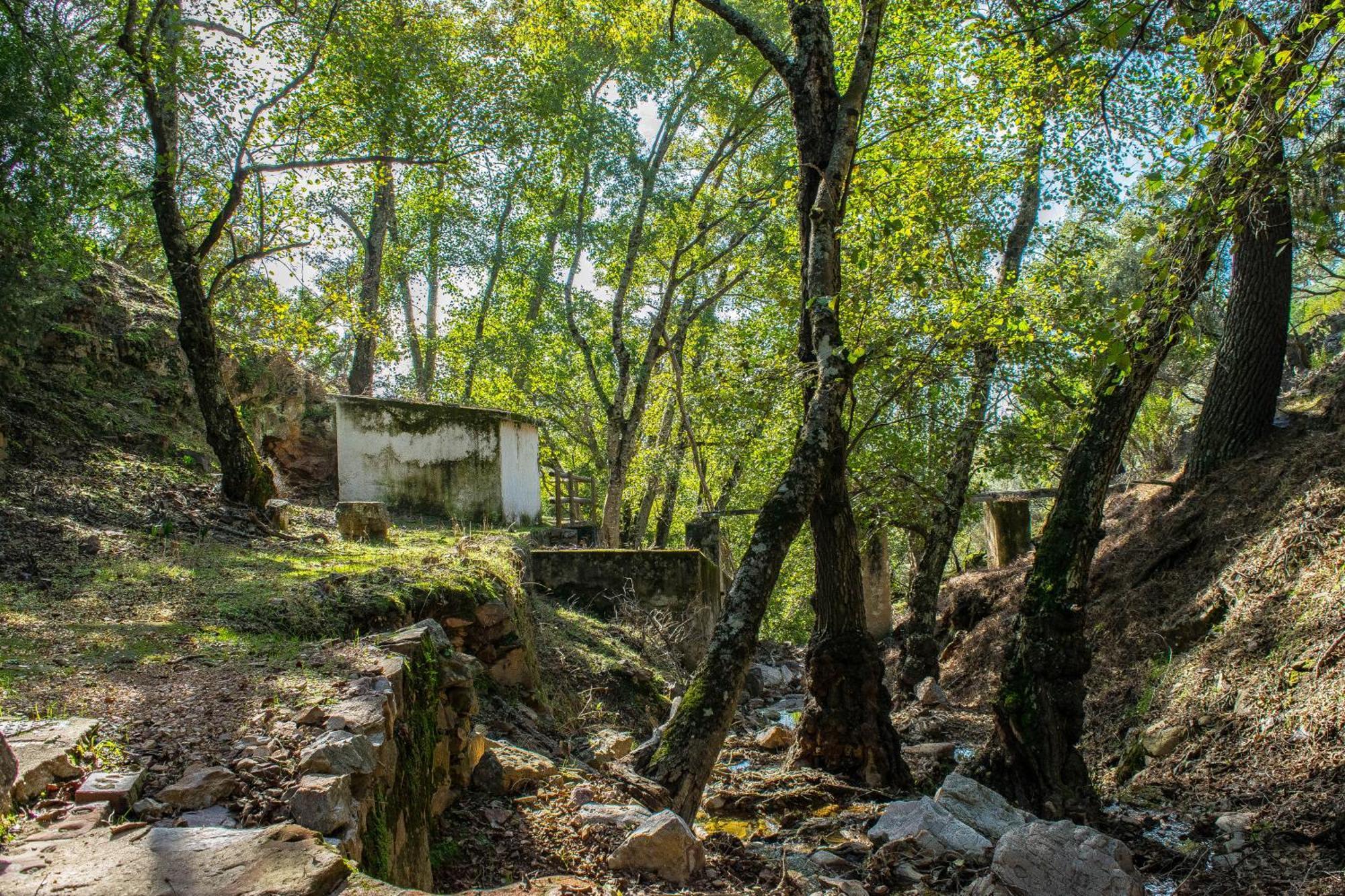 Villamaria, Alma De Despenaperros Miranda del Rey 외부 사진